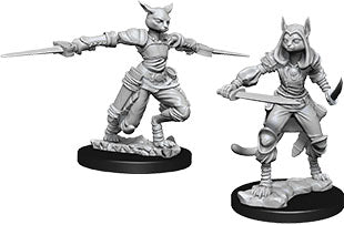 Dungeons & Dragons - Miniatures - W09 Female Tabaxi Rogue