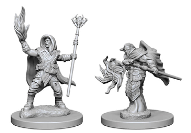 Dungeons & Dragons - Miniatures - W02 Elf Male Wizard