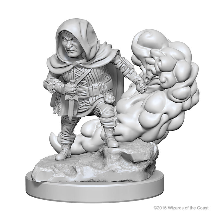 Dungeons & Dragons - Miniatures - W01 Halfling Male Rogue