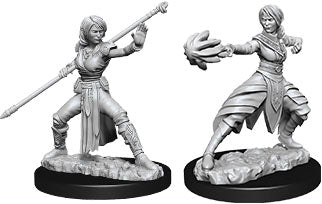 Dungeons & Dragons - Miniatures - W10 Female Half-Elf Monk