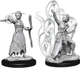 Dungeons & Dragons - Miniatures - W10 Female Human Warlock