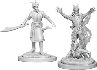 Dungeons & Dragons - Miniatures - W06 Male Tiefling Warlock