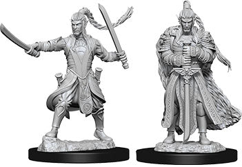 Dungeons & Dragons - Miniatures - W09 Male Elf Paladin