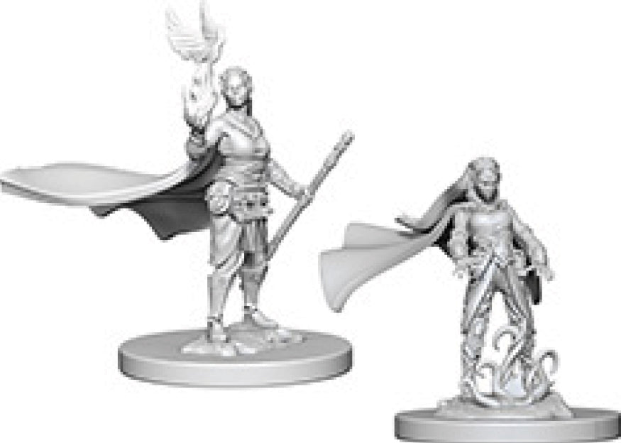 Dungeons & Dragons - Miniatures - W04 Elf Female Druid