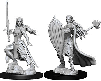 Dungeons & Dragons - Miniatures - W09 Female Elf Paladin