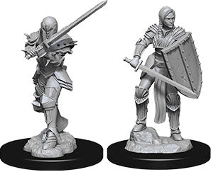 Dungeons & Dragons - Miniatures - W09 Female Human Fighter