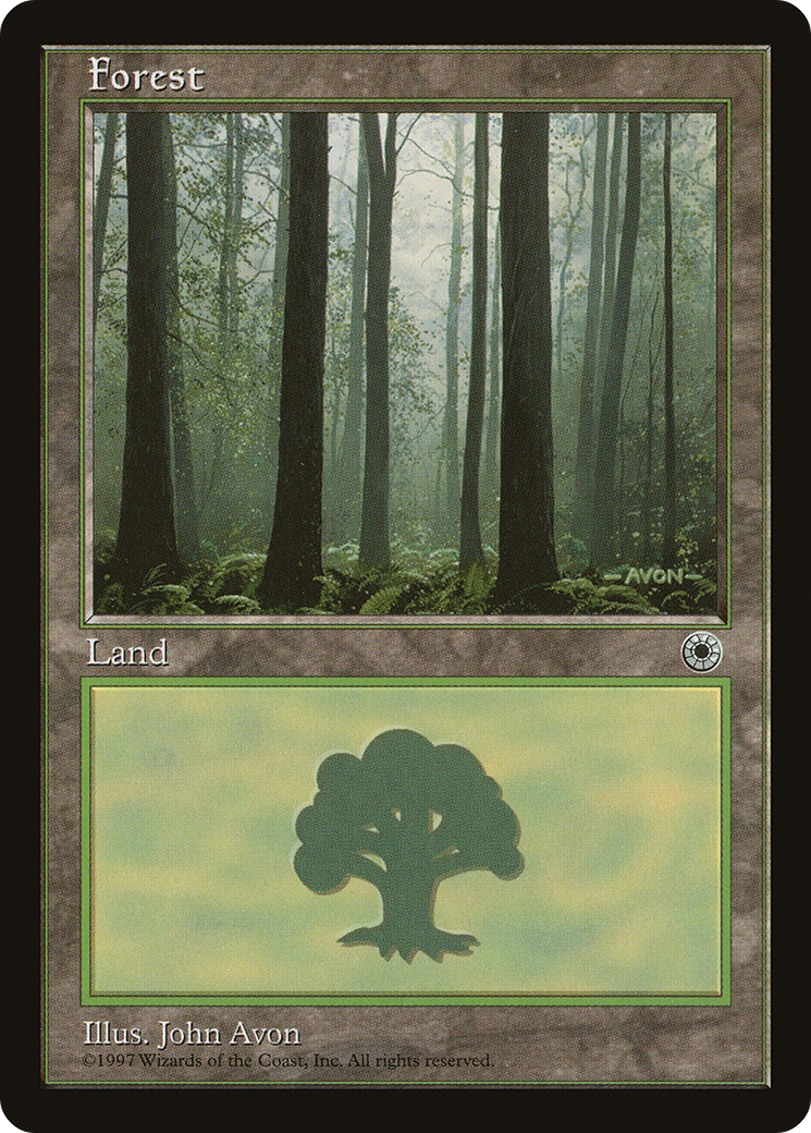 Forest (Ferns on Ground) (POR-214) - Portal