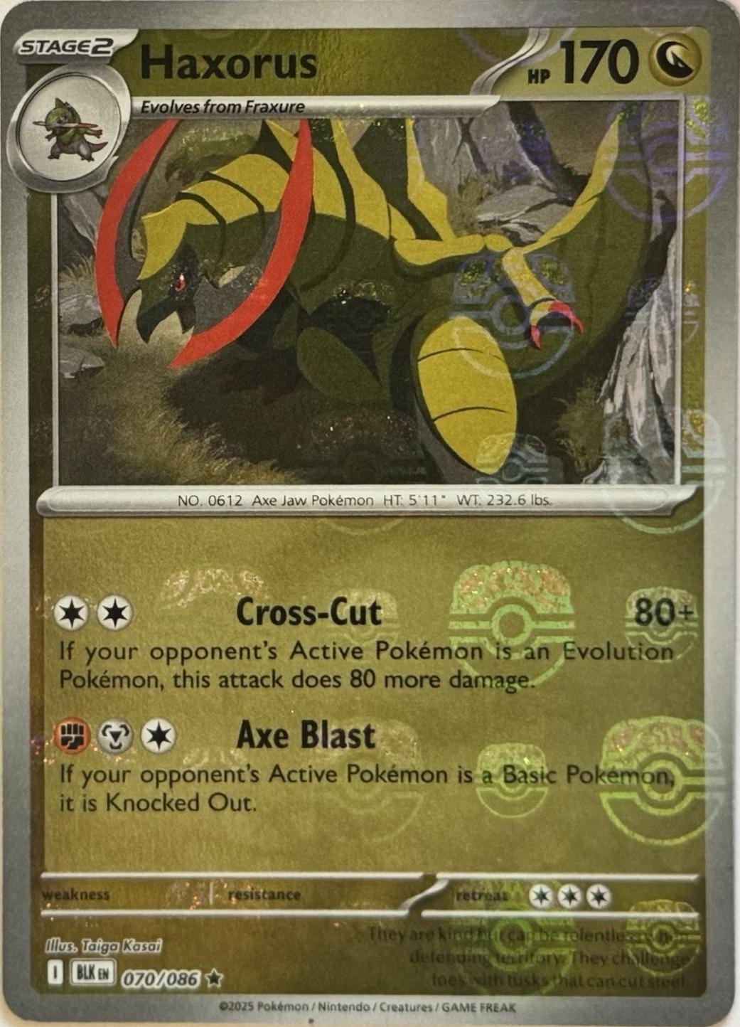 Haxorus (Master Ball Pattern) 070/086  - Holofoil SV Black Bolt - Rare