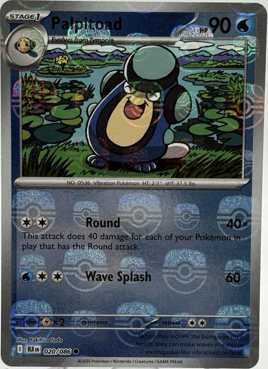 Palpitoad (Master Ball Pattern) 020/086  - Holofoil SV Black Bolt - Common
