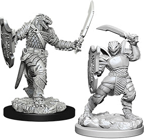 Dungeons & Dragons - Miniatures - W05 Dragonborn Female Paladin