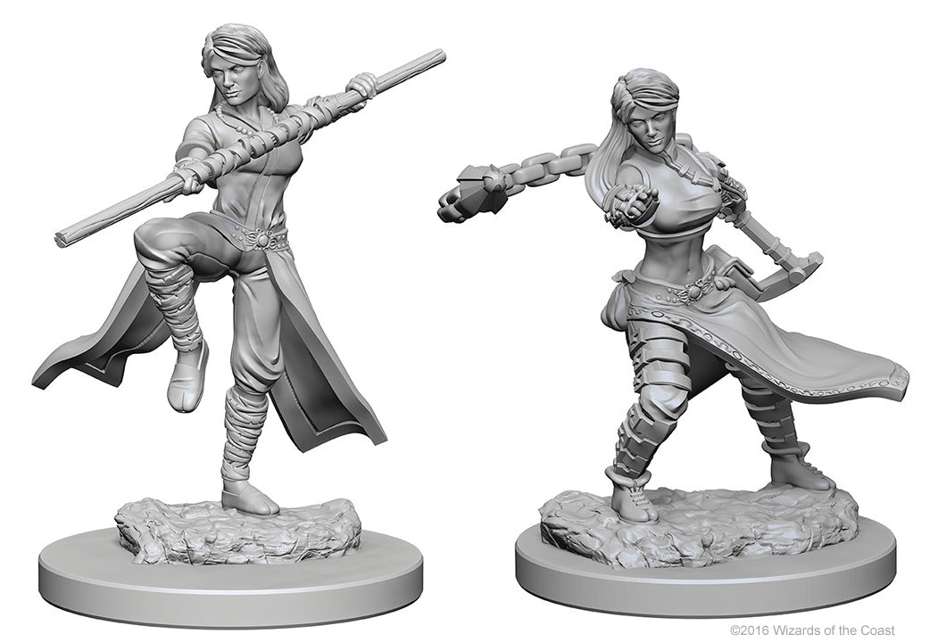 Dungeons & Dragons - Miniatures - W01 Human Female Monk