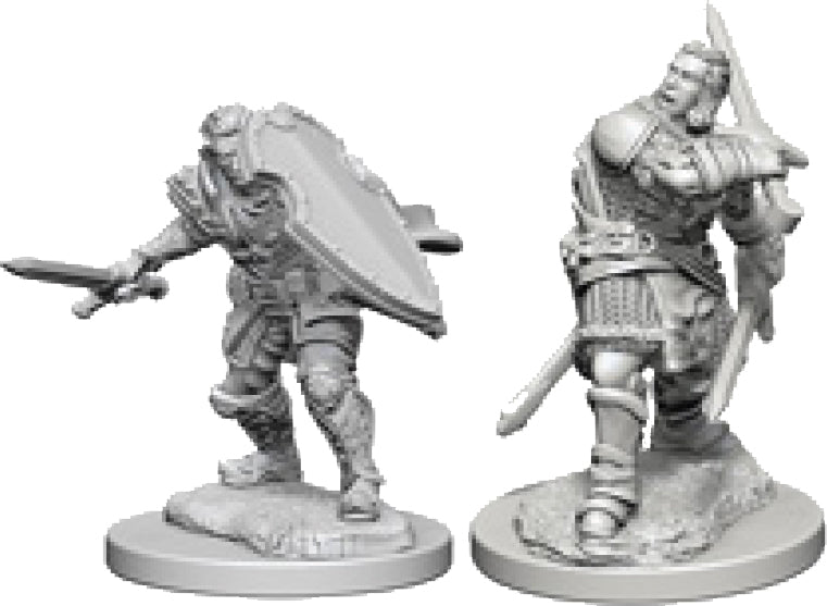 Dungeons & Dragons - Miniatures - W3 Human Male Paladin