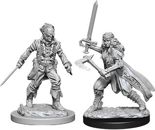 Dungeons & Dragons - Miniatures - W08 Vampire Hunters