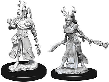 Dungeons & Dragons - Miniatures - W09 Female Human Druid