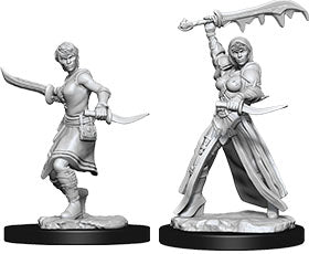Dungeons & Dragons - Miniatures - W10 Female Human Rogue