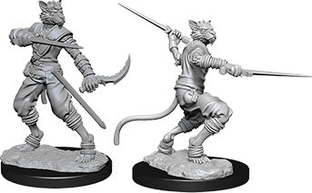 Dungeons & Dragons - Miniatures - W07 Tabaxi Male Rogue