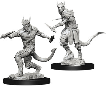 Dungeons & Dragons - Miniatures - W05 Tiefling Male Rogue