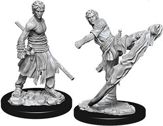 Dungeons & Dragons - Miniatures - W10 Male Half-Elf Monk