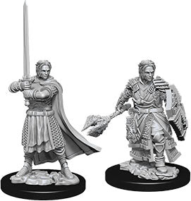 Dungeons & Dragons - Miniatures - W08 Male Human Cleric