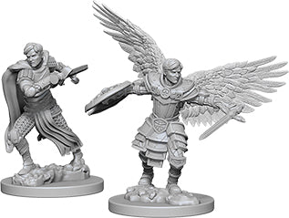 Dungeons & Dragons - Miniatures - W06 Male Aasimar Fighter