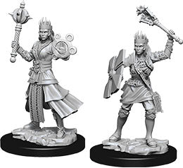 Dungeons & Dragons - Miniatures - W08 Female Human Cleric