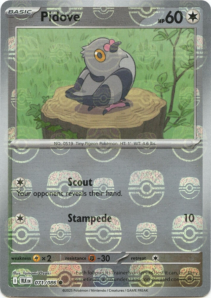 Pidove (Master Ball Pattern) 071/086  - Holofoil SV Black Bolt - Common