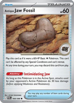Antique Jaw Fossil 068 - ME03 Perfect Order - Common