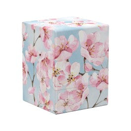 Boulder 100+ - Floral Places - Cherry Blossom