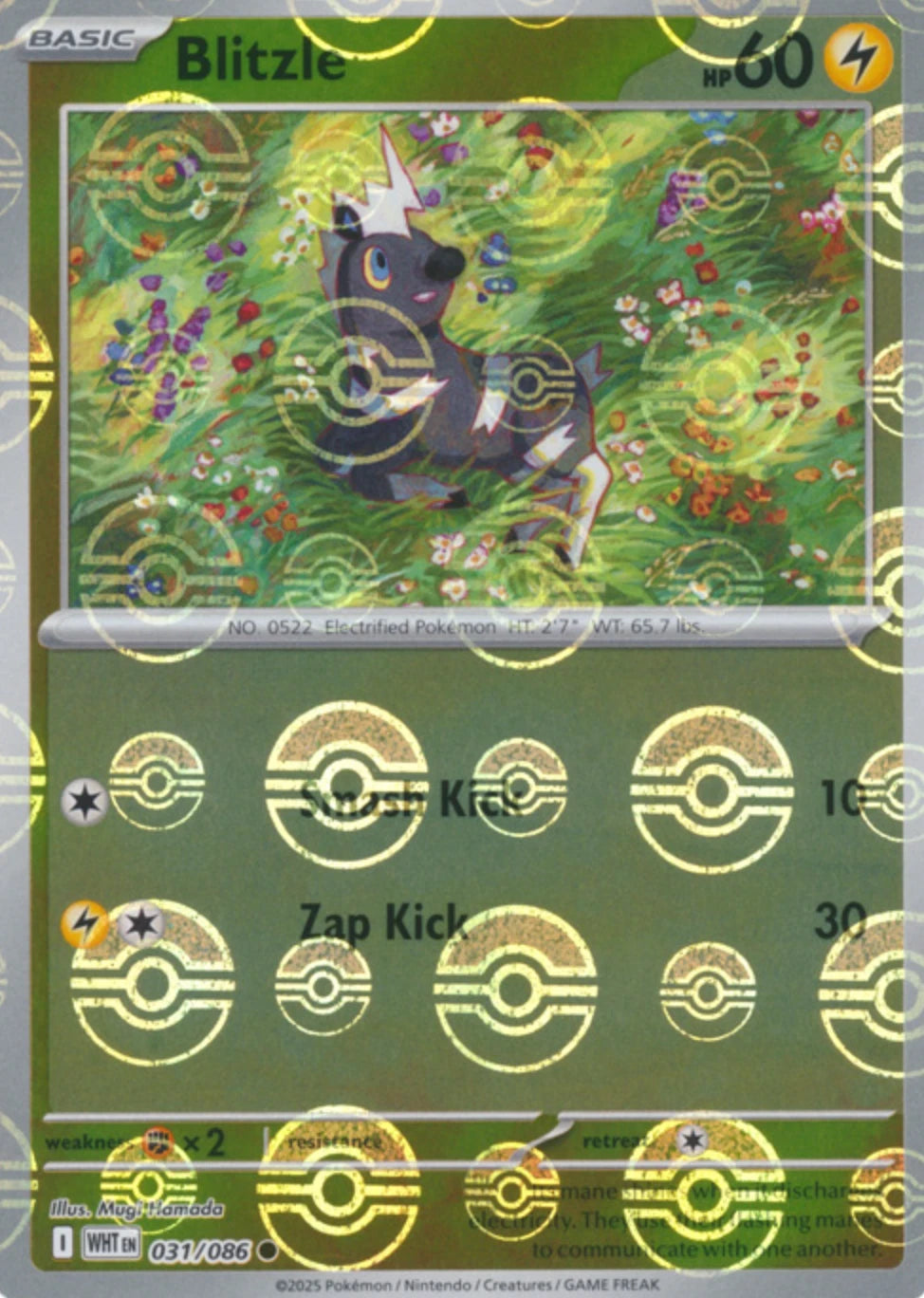 Blitzle (Poke Ball Pattern) 031/086  - Holofoil SV White Flare - Common