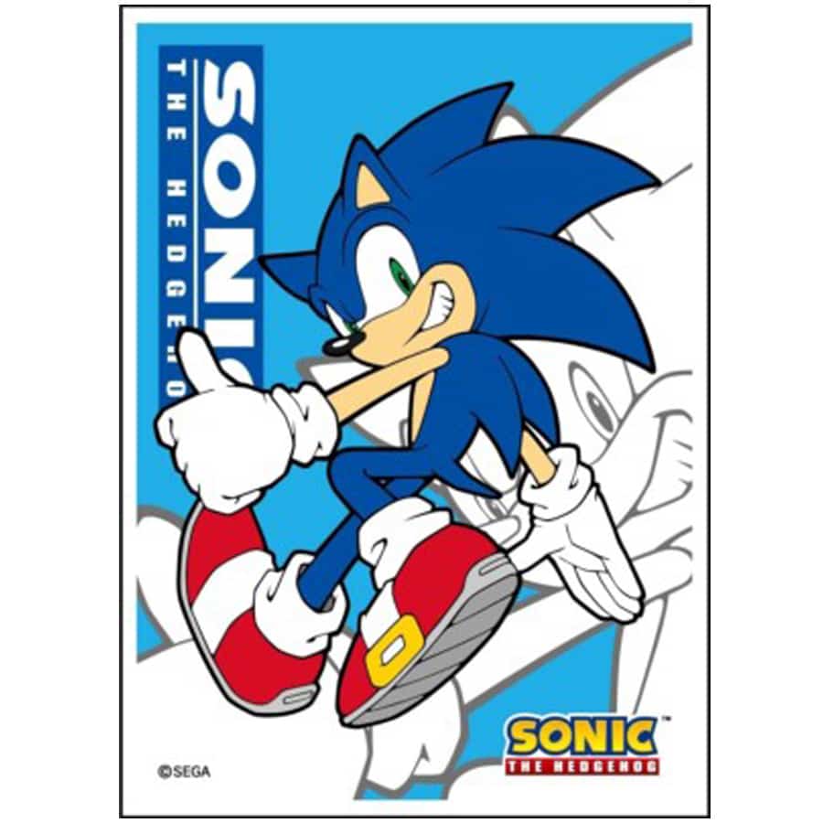 Standard - Sonic - Ensky Sleeves (65ct)