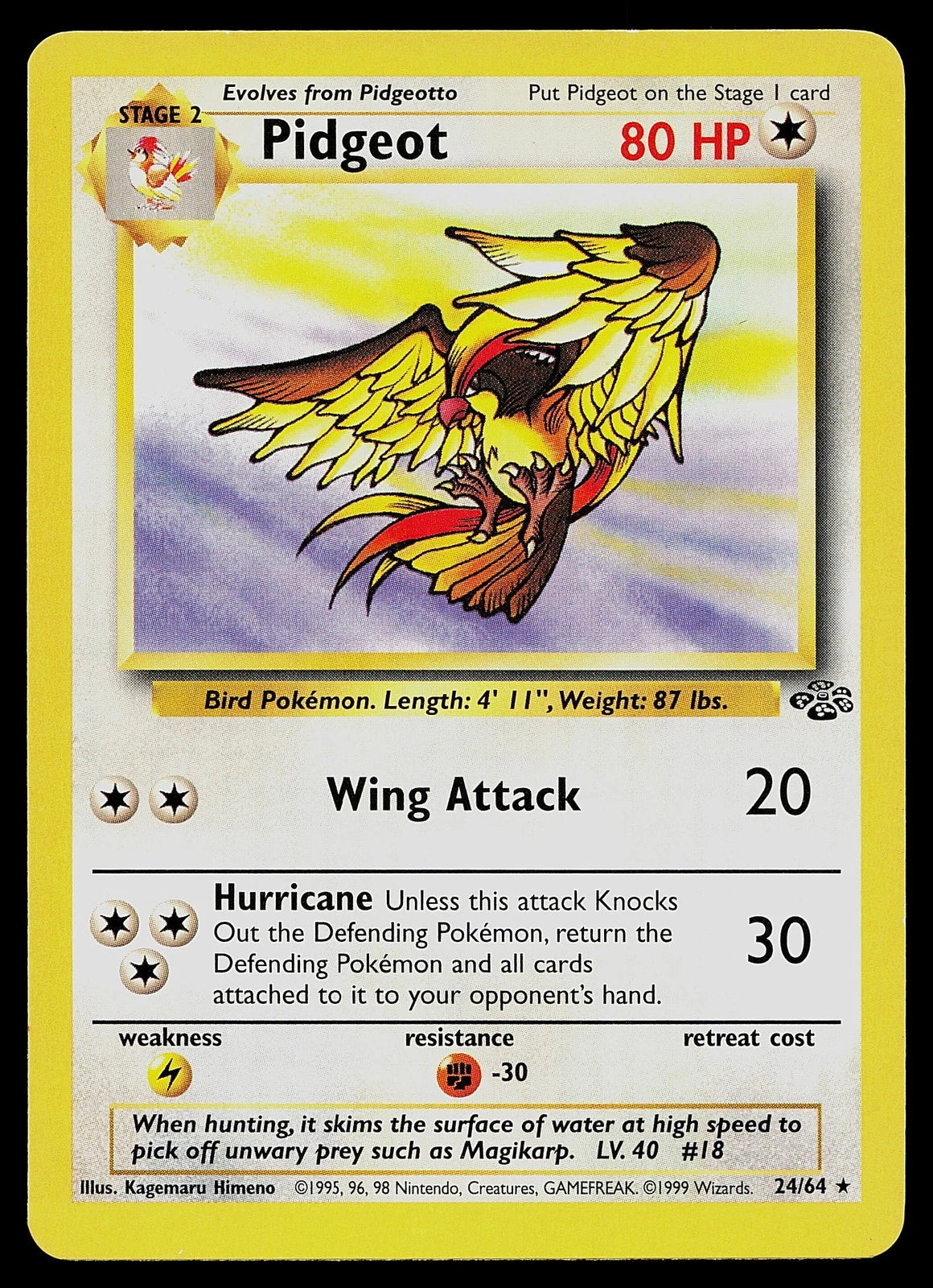 Pidgeot (24) 024/64  - Unlimited Jungle - Rare
