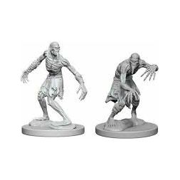Dungeons & Dragons - Miniatures - W01 Ghouls